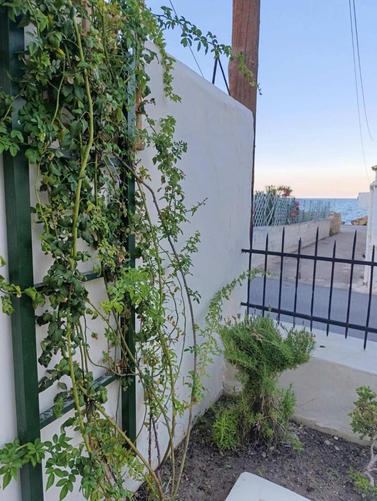 Jasmine By The Sea By 8essentially Hébergement de vacances Kalyves